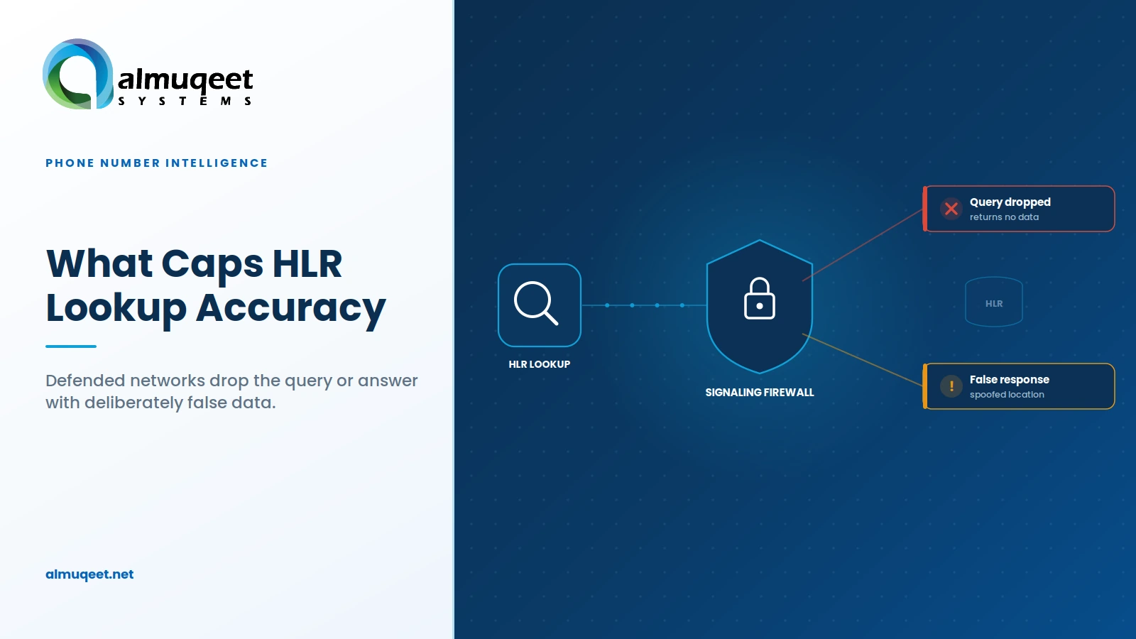hlr-lookup-api-section-accuracy-firewall